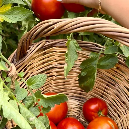 Feriehus Reven Kato Gatzea