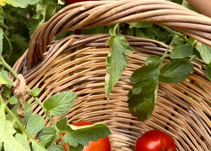 Ferienhaus Reven Kato Gatzea